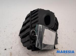 Air Filter Housing Box RENAULT Grand Scénic III (JZ0/1), RENAULT Scénic III (JZ0/1)