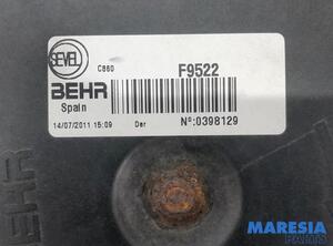 1393260080 Elektromotor für Gebläse Steuergerätebox FIAT Ducato Kasten (250) P20