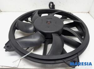 Interior Blower Motor PEUGEOT 3008 MPV (0U_)