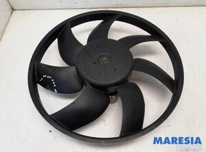 Interior Blower Motor PEUGEOT 208 I (CA_, CC_), PEUGEOT 207 (WA_, WC_), CITROËN C4 CACTUS, CITROËN C3 II (SC_)