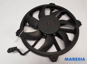 Interior Blower Motor PEUGEOT 3008 MPV (0U_)