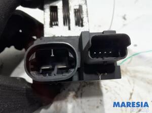 Resistor Interior Blower PEUGEOT 207 SW (WK)