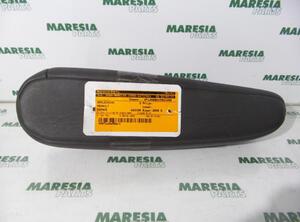 Armrest RENAULT Espace IV (JK0/1)