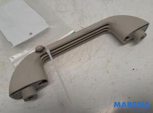 Grab Handle FIAT Ducato Kasten (250, 290), FIAT Ducato Bus (250, 290), FIAT Ducato Kasten (250)