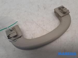 Grab Handle FIAT Ducato Kasten (250, 290), FIAT Ducato Bus (250, 290), FIAT Ducato Kasten (250)