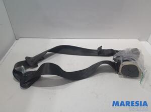 Safety Belts RENAULT Twingo II (CN0)