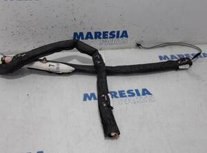 Airbag Dach links Citroen C4 II Picasso  9800483280 P16974936