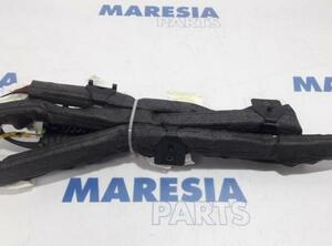 Roof Airbag FIAT Grande Punto (199), FIAT Punto (199), FIAT Punto Evo (199)