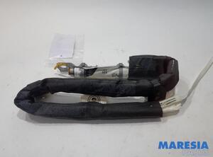 Roof Airbag FIAT 500 (312), FIAT 500 C (312), FIAT 500/595/695 (312), FIAT 500C/595C/695C (312)