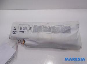 Side Airbag FIAT 500 (312), FIAT 500 C (312), FIAT 500/595/695 (312), FIAT 500C/595C/695C (312)