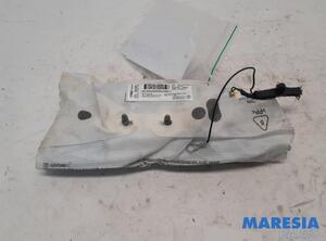 Side Airbag FIAT 500 (312), FIAT 500 C (312), FIAT 500/595/695 (312), FIAT 500C/595C/695C (312)