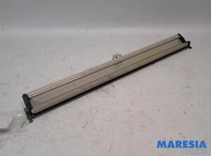 Front Interior Roof Trim Panel FIAT 500 (312_), FIAT 500 C (312_)