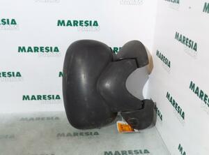 Wing (Door) Mirror RENAULT Trafic II Kasten (FL)