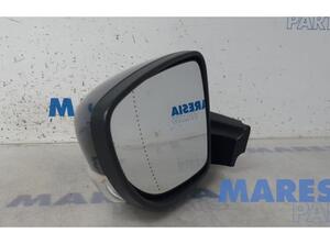 Wing (Door) Mirror RENAULT Zoe (BFM)