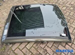 Roof PEUGEOT 3008 MPV (0U_)