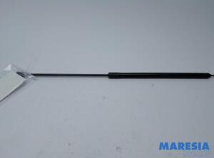 Gas Spring RENAULT MEGANE III Hatchback (BZ0/1_, B3_)