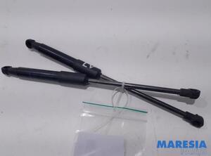 Gas Spring Engine Hood RENAULT Trafic III Kasten (FG)