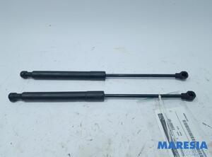 Gas Spring Engine Hood RENAULT Kangoo Express (FW0/1), RENAULT Kangoo/Grand Kangoo (KW0/1)