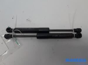 Gas Spring Engine Hood RENAULT Zoe (BFM)