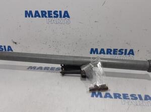 Luggage Carrier RENAULT Trafic III Kasten (FG)