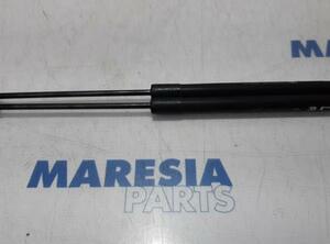 Bootlid (Tailgate) Gas Strut Spring CITROËN C3 II (SC), CITROËN C3 III (SX)