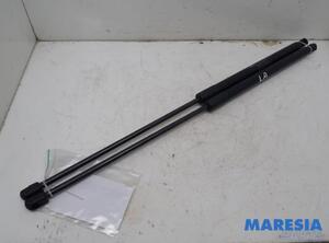 Bootlid (Tailgate) Gas Strut Spring CITROËN C4 Grand Picasso II (DA, DE)