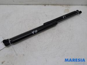 Bootlid (Tailgate) Gas Strut Spring PEUGEOT 208 I (CA_, CC_)