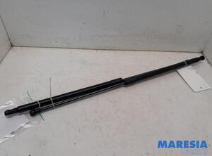 Bootlid (Tailgate) Gas Strut Spring CITROËN C4 GRAND PICASSO I (UA_), CITROËN C4 PICASSO I MPV (UD_)