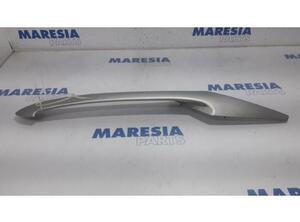 Tailgate Handle PEUGEOT 206 CC (2D)