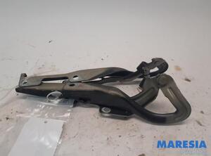 Bonnet Hinge PEUGEOT 207 CC (WD)