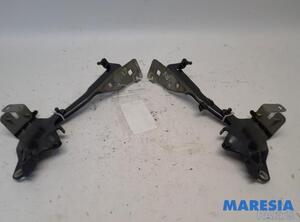 Bonnet Hinge RENAULT Scénic III (JZ0/1), RENAULT Grand Scénic III (JZ0/1)