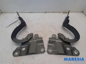 Bonnet Hinge RENAULT Zoe (BFM)