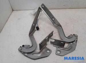 Bonnet Hinge CITROËN C4 GRAND PICASSO I (UA_), CITROËN C4 PICASSO I MPV (UD_)