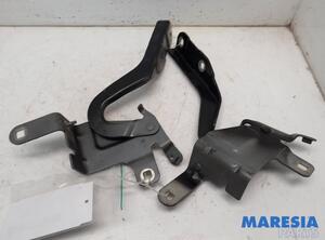 Bonnet Hinge RENAULT CLIO IV Grandtour (KH_), RENAULT CAPTUR I (J5_, H5_), RENAULT CLIO IV (BH_)