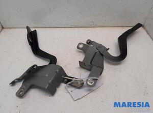 Bonnet Hinge RENAULT CLIO IV Grandtour (KH_), RENAULT CAPTUR I (J5_, H5_), RENAULT CLIO IV (BH_)