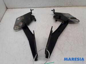 Bonnet Hinge RENAULT MEGANE III Grandtour (KZ0/1)