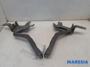 Bonnet Hinge RENAULT CLIO IV Grandtour (KH_), RENAULT CAPTUR I (J5_, H5_), RENAULT CLIO IV (BH_)