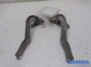 Bonnet Hinge PEUGEOT 107 (PM_, PN_)