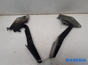 Bonnet Hinge RENAULT MEGANE III Coupe (DZ0/1_)