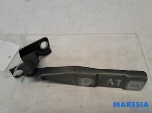 Bonnet Hinge CITROËN C3 II (SC_), CITROËN DS3, CITROËN C3 III (SX), DS DS 3 (SA_)