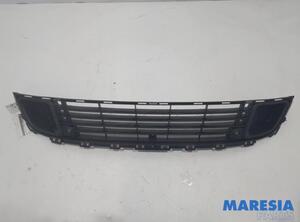 Radiator Grille CITROËN C5 III Break (TD)