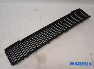 Radiator Grille FIAT 500 (312_), FIAT 500 C (312_)