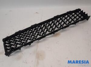 Radiator Grille FIAT 500 (312_), FIAT 500 C (312_), ABARTH 500 / 595 / 695 (312_), ABARTH 500C / 595C / 695C (312_)