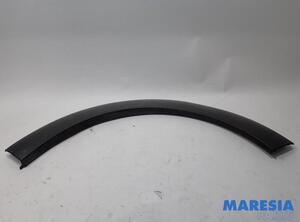 Trim Strip Bumper CITROËN C3 II (SC), CITROËN C3 III (SX)