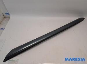 Trim Strip Bumper CITROËN C4 GRAND PICASSO I (UA_), CITROËN C4 PICASSO I MPV (UD_)