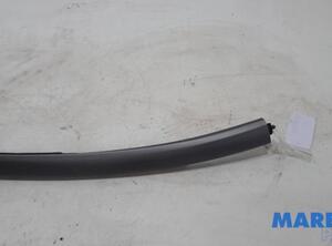 Trim Strip Bumper CITROËN C4 GRAND PICASSO I (UA_)