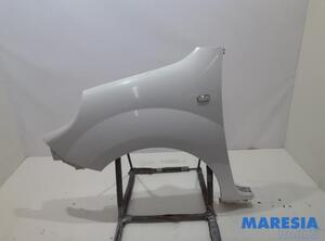 Spatbord RENAULT Kangoo Express (FW0/1), RENAULT Kangoo/Grand Kangoo (KW0/1)