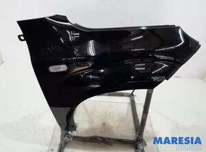 Spatbord FIAT Panda (312, 319), LANCIA Ypsilon (312_), FIAT Panda Van (312, 519)