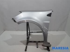 Spatbord RENAULT CLIO III (BR0/1, CR0/1), RENAULT CLIO II (BB_, CB_), RENAULT CLIO IV (BH_)