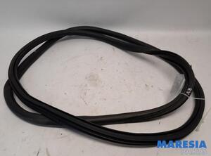 Door Seal PEUGEOT Expert Kasten (V), OPEL Vivaro C Kasten (--)